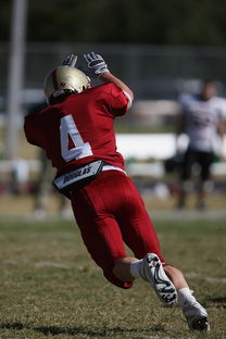 开云官方平台-全国青少年跳水锦标赛在深圳火热进行，全国青少年跳水比赛
